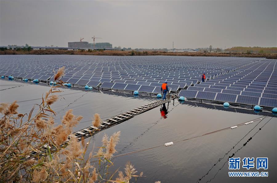11月13日，工人在临西县灵溪湖水上光伏发电场巡查。 新华社记者杨世尧摄