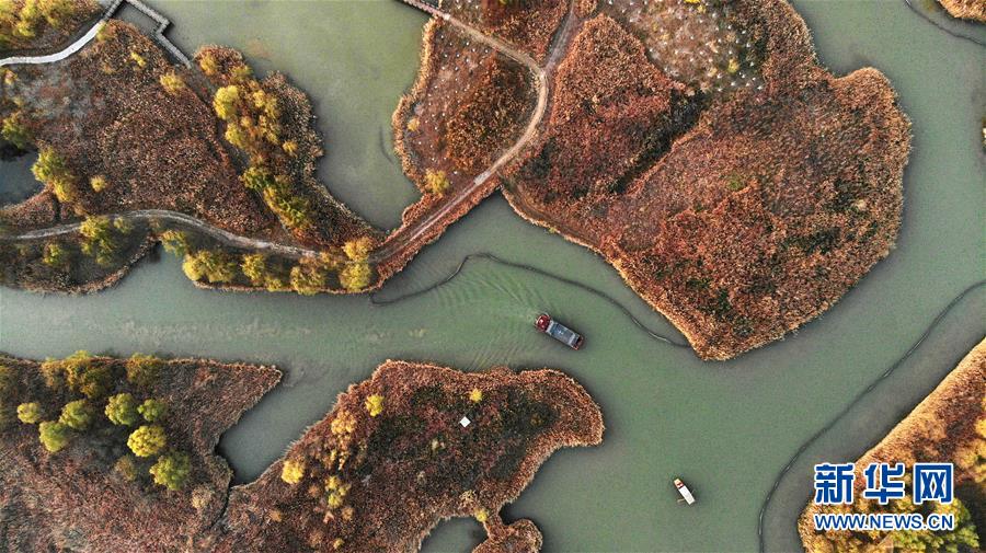 这是11月18日无人机拍摄的济西国家湿地。

　　济西国家湿地是山东济南最大的城市湿地，占地面积约33.4平方公里。园区内沟汊纵横、芦苇丛生，野生动物众多，在夕阳下映出一副美丽的湿地图景。

　　新华社记者 王凯 摄