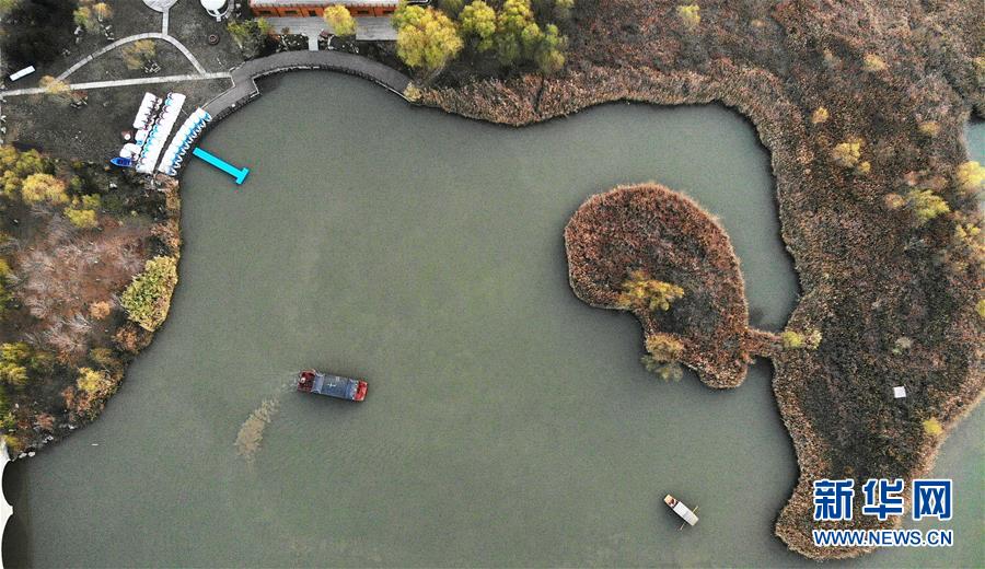 这是11月18日无人机拍摄的济西国家湿地。 新华社记者 王凯 摄