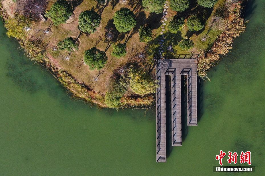 近日，航拍江苏昆山花桥经济开发区辖区内的天福国家湿地公园，色彩斑斓，景色秀美，构成了一幅美丽的冬日画卷。图为空中俯瞰湿地美景。泱波 摄
