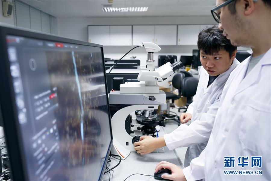 在澳门科技大学月球与行星科学国家重点实验室，邓志培（后）与学生观测陨石切片（10月31日摄）。 新华社记者 刘金海 摄