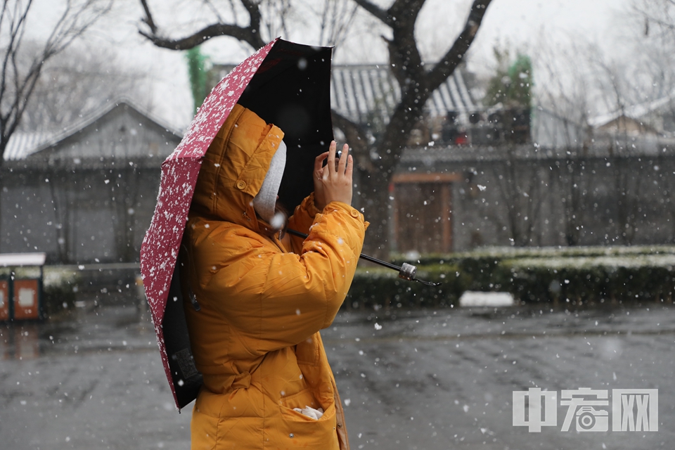 雪后的街头吸引了许多市民和游客拍照 中宏网记者 富宇 摄