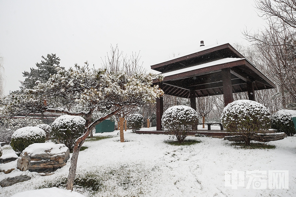 12月15日傍晚至16日上午，北京迎来了今冬第二场降雪。16日，北京园博园梦唐园雪景。中宏网记者 康书源 摄