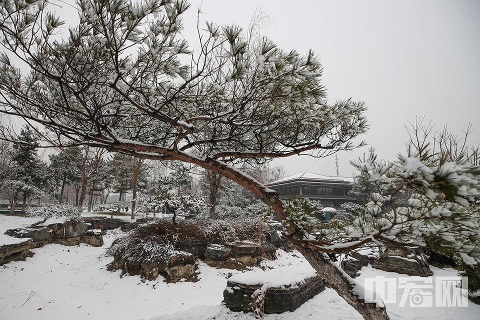 12月15日傍晚至16日上午，北京迎来了今冬第二场降雪。16日，北京园博园梦唐园雪景。中宏网记者 康书源 摄