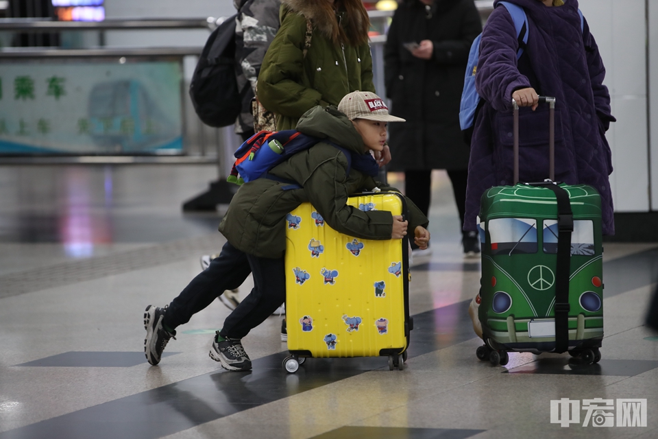 走累的小朋友趴在行李箱上前行。中宏网记者 富宇 摄