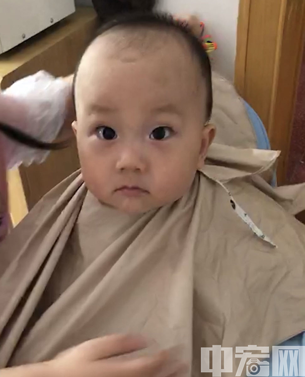 剃龙头总少不了萌宝身影。