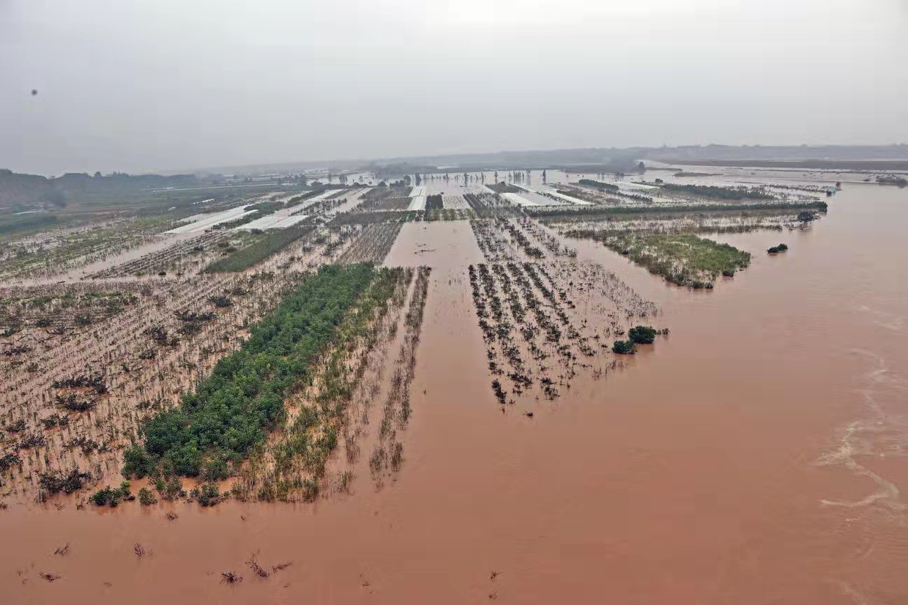 陕西大荔降雨导致239万人受灾491万亩农田被淹