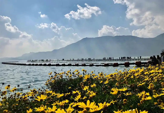 看昆明湿地地图观滇池生物多样性保护成果