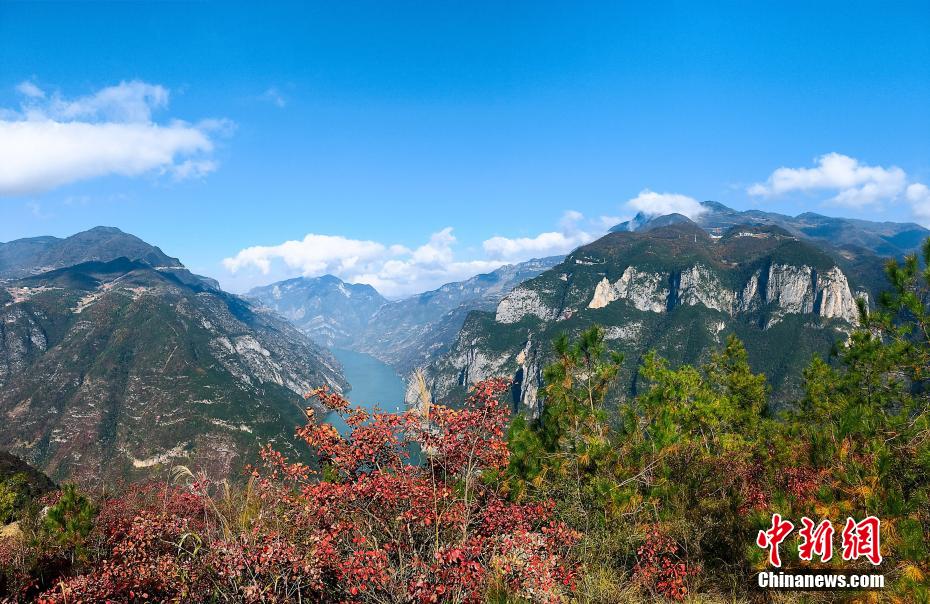 重庆巫山迎来红叶最佳观赏季