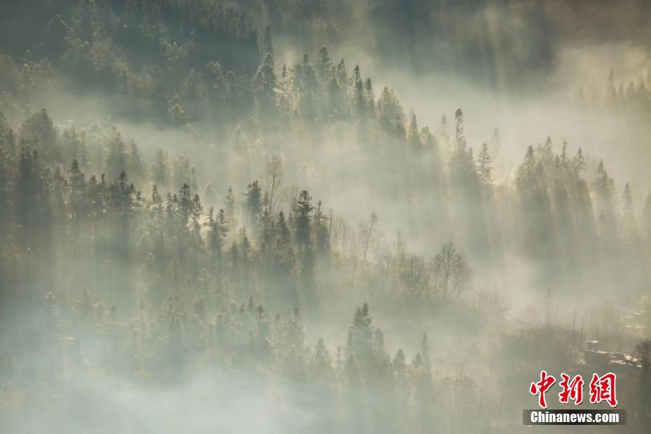 大霧給冬天點綴出別樣美景,田野和城市構成了一幅幅美麗的畫卷.