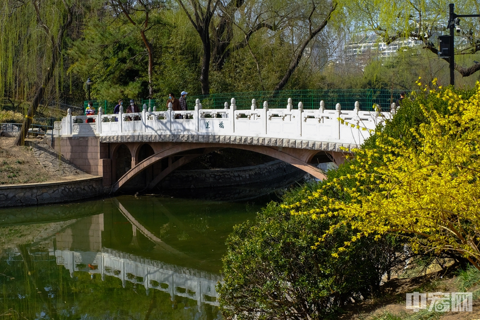 北京紫竹院公园百花齐开迎春分