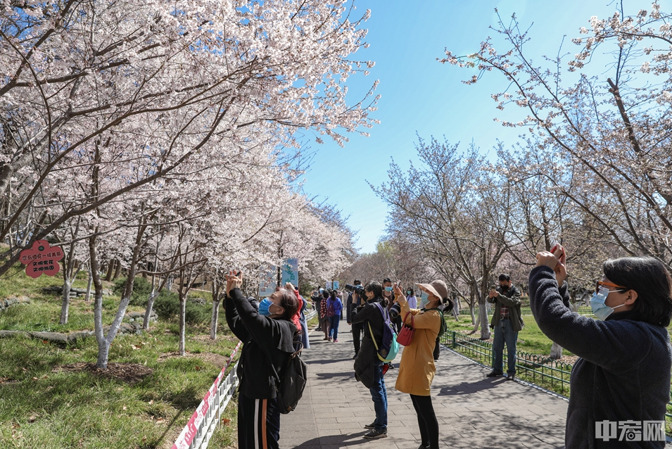 #旅游业#员工做微商 小企业谋转型&hellip;疫情之下旅游业遇寒潮