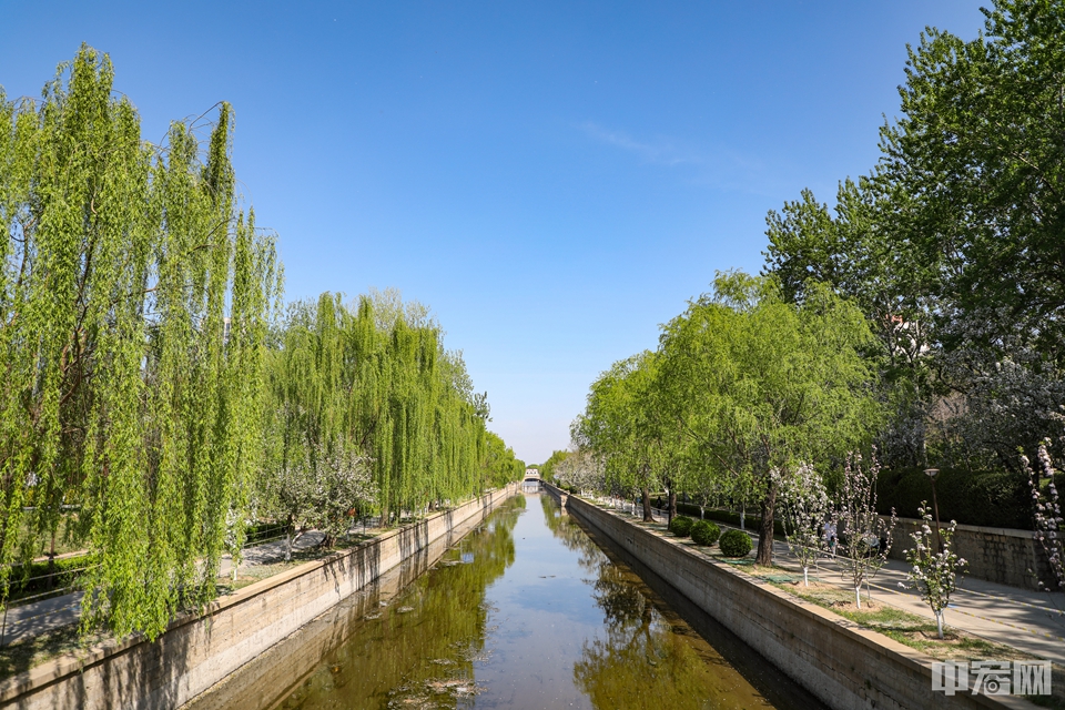 國典華園處,水街花燈北岸廣場處,南岸西大門,龍澤魚躍對外960_640