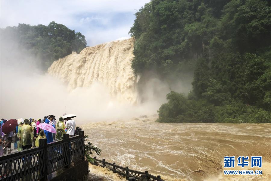 6月14日，游客在观赏黄果树瀑布。 当日，受持续降雨影响，贵州黄果树瀑布迎来2020年入汛以来最大水量。据贵州省安顺市水文水资源局实测数据显示，当日黄果树瀑布流量最高时达508立方米/秒。 新华社记者 杨文斌 摄