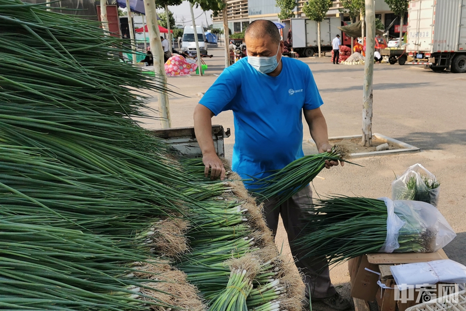 6月18日，北京新发地批发市场临时露天交易区，商户正在整理蔬菜。