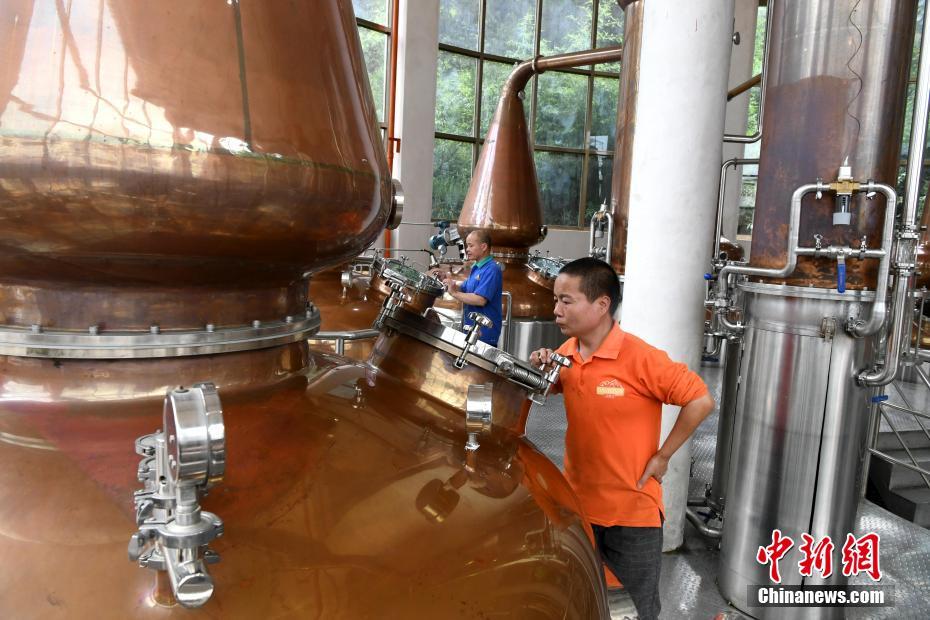 图为工人正在生产线酿造大芹威士忌。 中新社记者 王东明 摄