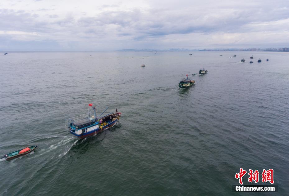 南海伏季休漁結束海南167萬艘漁船解禁出海