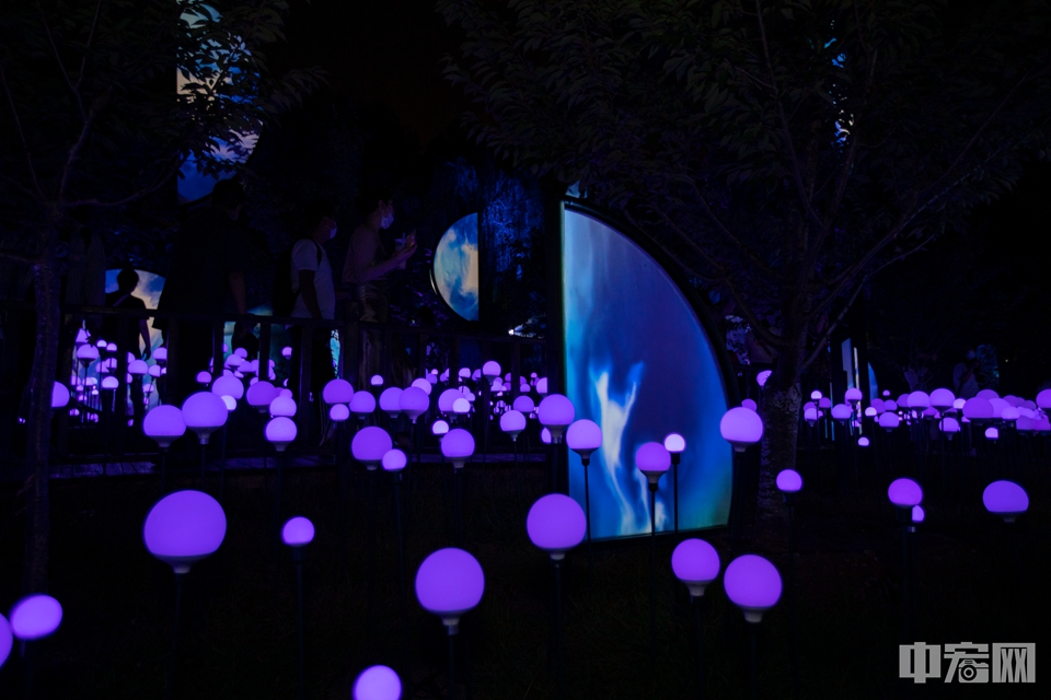 8月21日，北京玉渊潭公园，游客欣赏光影艺术作品。中宏网记者 康书源 摄