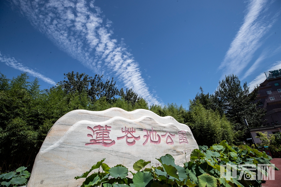 莲花池公园风光正好。 中宏网记者 富宇 摄