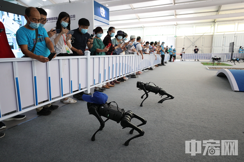 机器狗展示了快速跑步运动、上下台阶、倒地爬起、跳跃、自主充电等功能，不少观众都被它们所吸引。 中宏网记者 富宇 摄