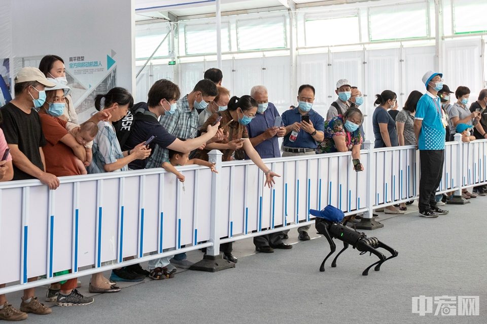 9月7日，2020年服贸会机器人专题展区，参展商现场展示能够用“四肢”行走的智能机器狗与观众互动。