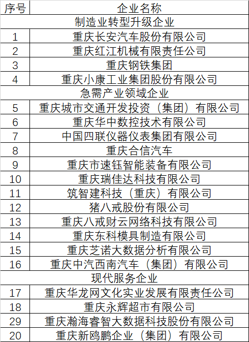 重庆市第一批产教融合型企业培育名单.png