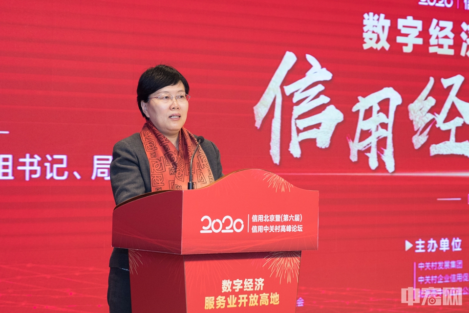 北京市经济和信用化局党组书记、局长杨秀玲总结了北京社会信用体系建设进展情况。