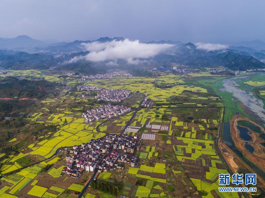 空中俯瞰浙江省杭州市淳安縣千島湖汾口鎮(2018年4月3日攝,無人機照片