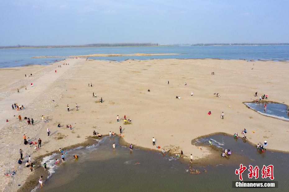 裸露的江邊沙灘變成市民遊玩打卡地,吸引了許多市民前來遊玩.