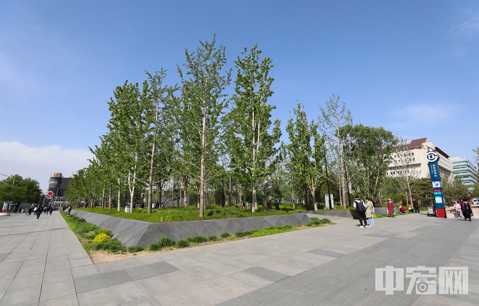西单文化广场变身公园式休闲空间。 中宏网记者 富宇 摄