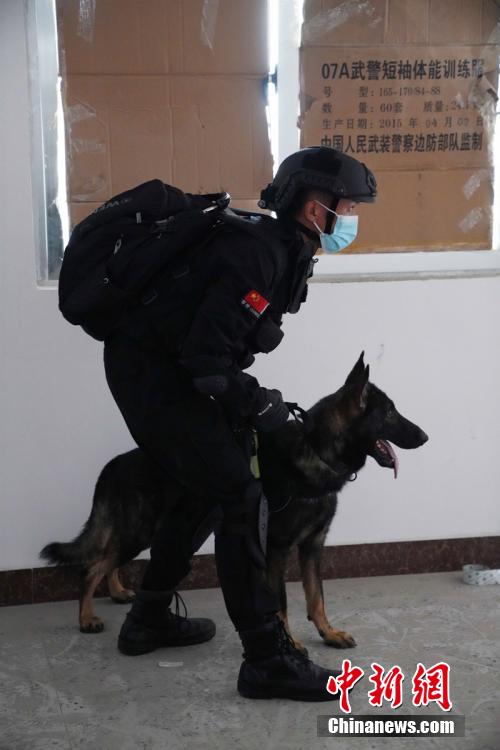 图为民警携警犬参与演练活。任海霞 摄