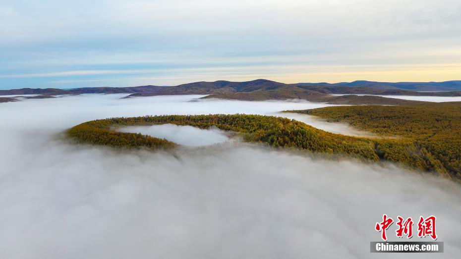 五花山特指北方林區千里林海的一種秋景,隨著秋季天氣轉涼,樹葉開始