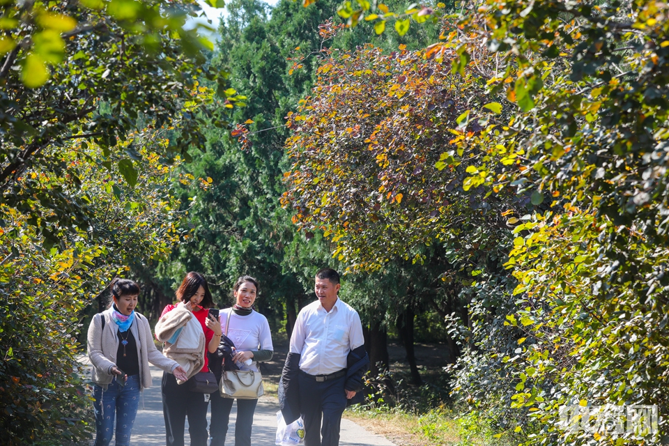 10月18日，伴随晴朗的天气，不少市民游客来到北京百望山森林公园登高远眺。陈硕 摄