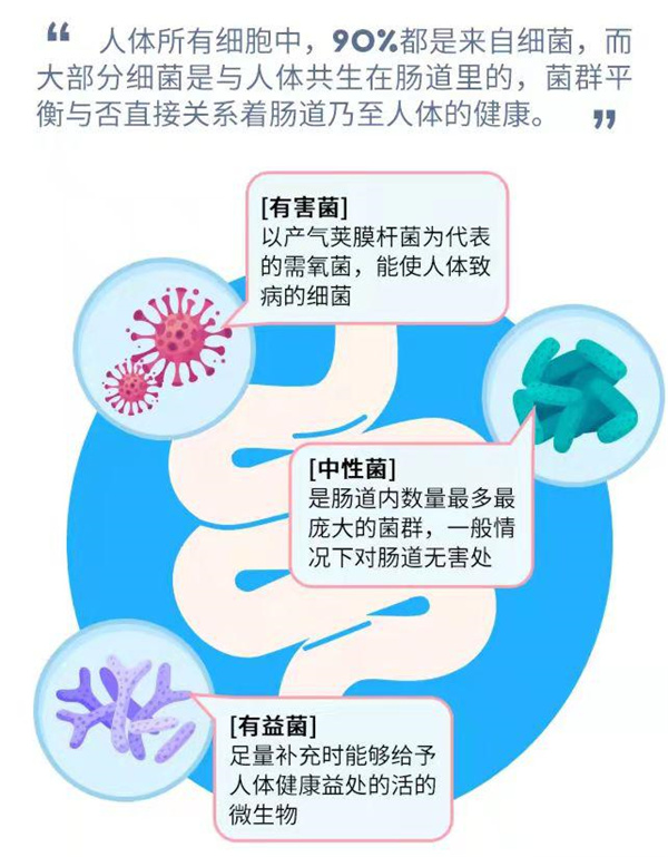 人體終身不可或缺的微生物免疫劑益生菌