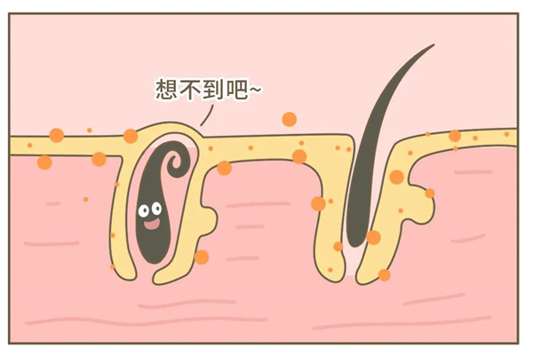 rId9_61adc5a95ce39.jpg