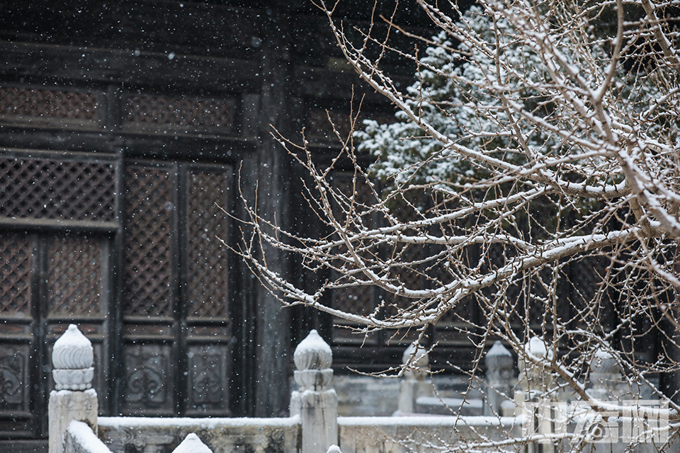 迷人的雪中大觉寺。 陈硕 摄
