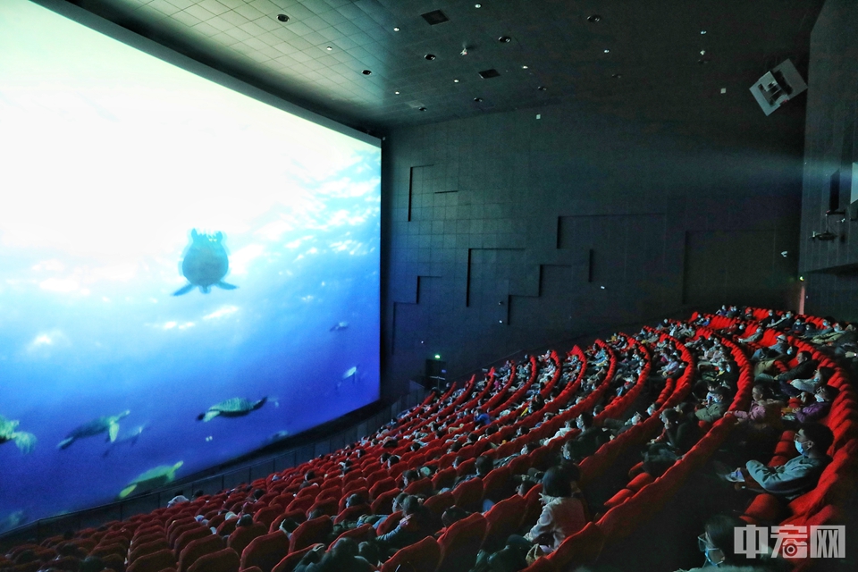 谢幕放映的IMAX大画幅胶片电影《海龟奇幻之旅》时长42分钟，介绍海龟是一个惊人的航海者，它能够历经40或50年的漫长岁月，穿越数千公里的辽阔海洋到达这个世界的另一个半球之外，然后又神秘而精准地回到它原来出生的海滩上产卵，这里是它生产下一代的基地。陈硕 摄