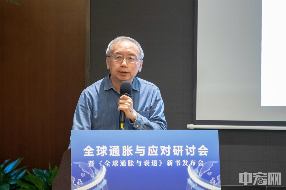 王小鲁.jpg
