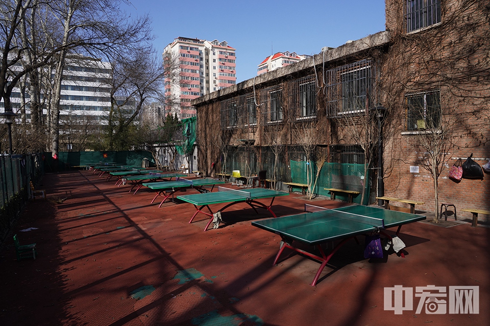 公园内的乒乓球台。 中宏网记者 富宇 摄