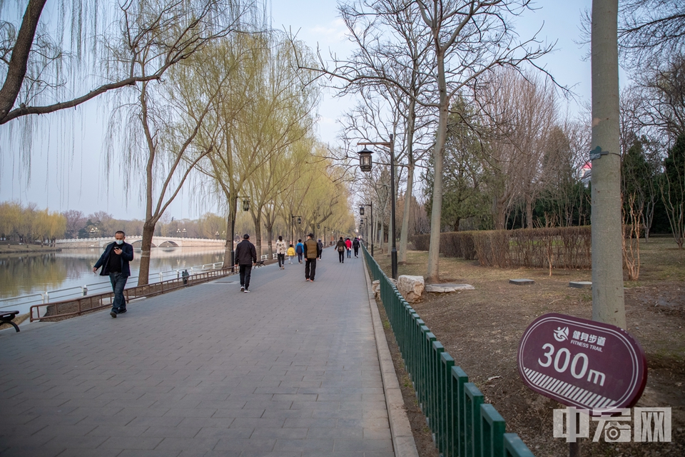 市民在北京陶然亭公园健康步道锻炼。