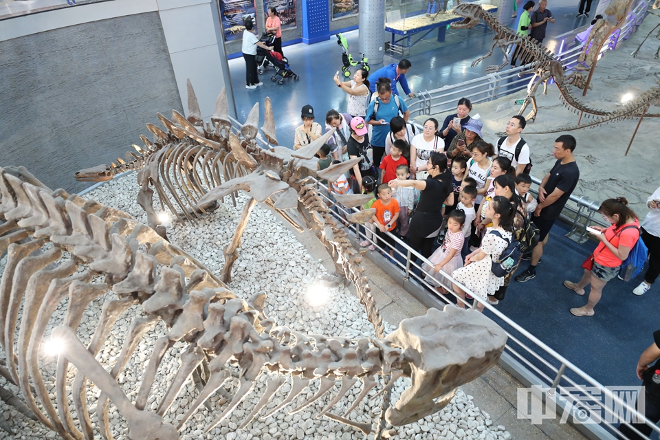 《恐龙公园》展厅分别代表了从三叠纪晚期到白垩纪晚期不同时期的恐龙世界的面貌。 中宏网记者 富宇 摄
