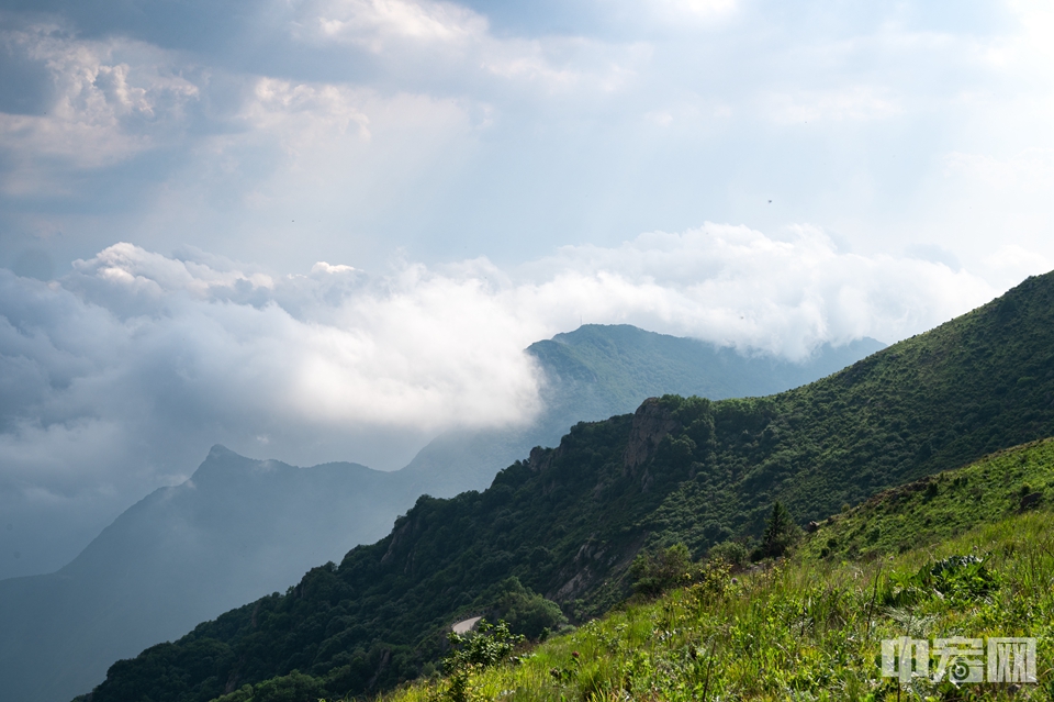 6月12日，北京房山百花山白草畔雨过天晴，出现壮美的云海景观。白草畔是百花山的主峰，海拔高度2161米，是北京第三高峰，北京西南第一高峰。王猛 摄