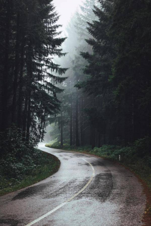 62d12a2e36e2a.png