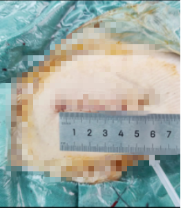 92c83040142e47deaa922bdd9b0d8b58.png