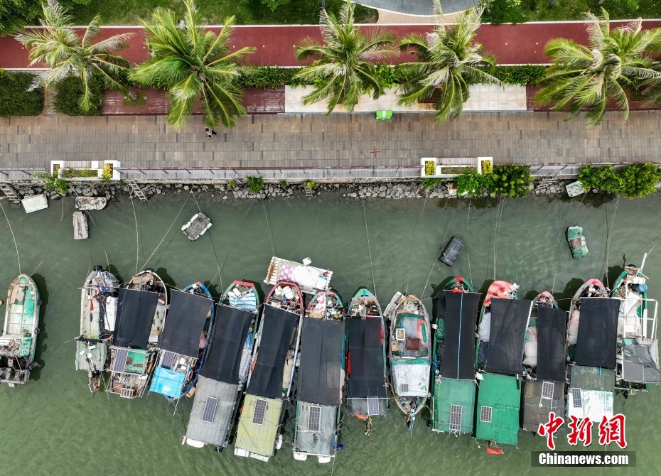 图为海南省海口市海甸溪停靠着众多渔船。（无人机照片） 中新社记者 骆云飞 摄