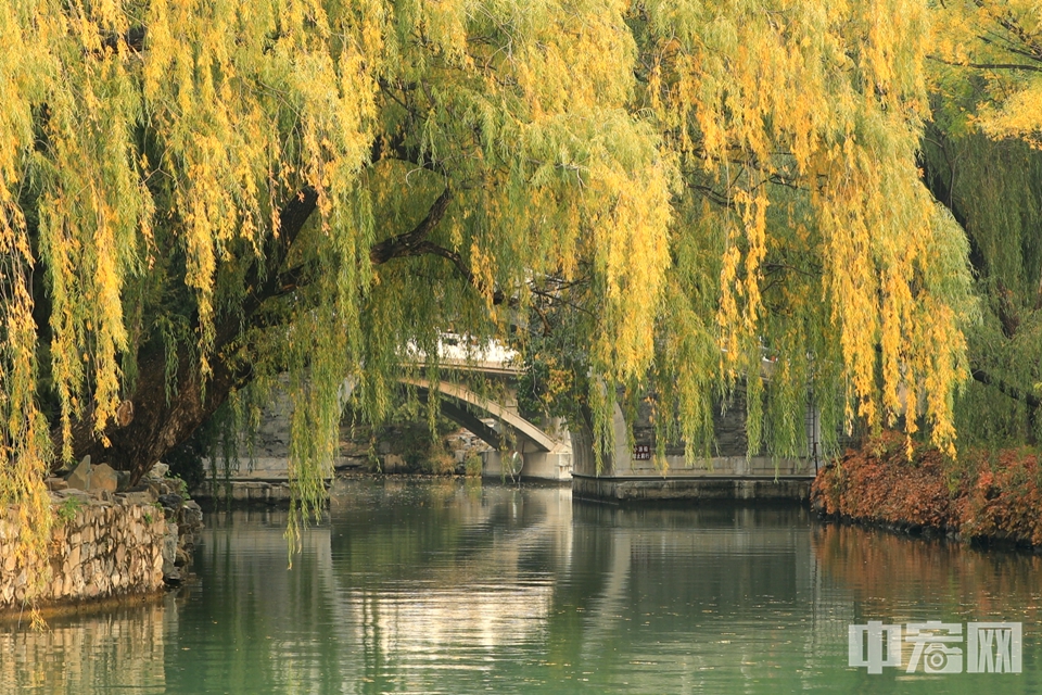 金秋十月，在北京颐和园万寿山后山的后溪河景区，湖水与植物彩叶交相辉映，景色优美宜人。中宏网 赫然 摄