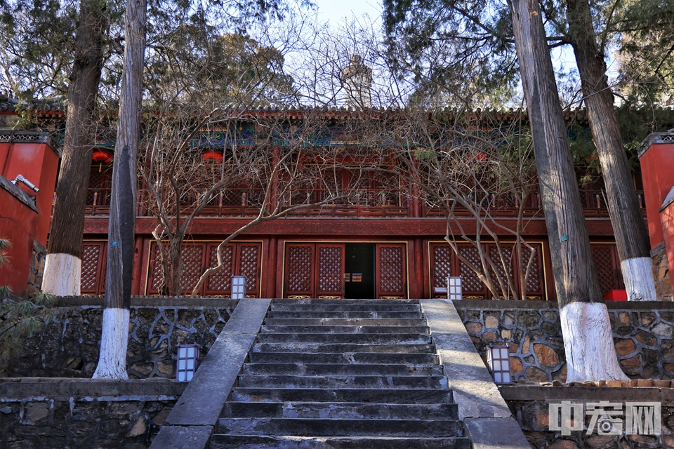 1月6日，北京大觉寺恢复对外开放，开放时间为周一至周日9:00-17:00（16:30停止售票）。陈硕 摄