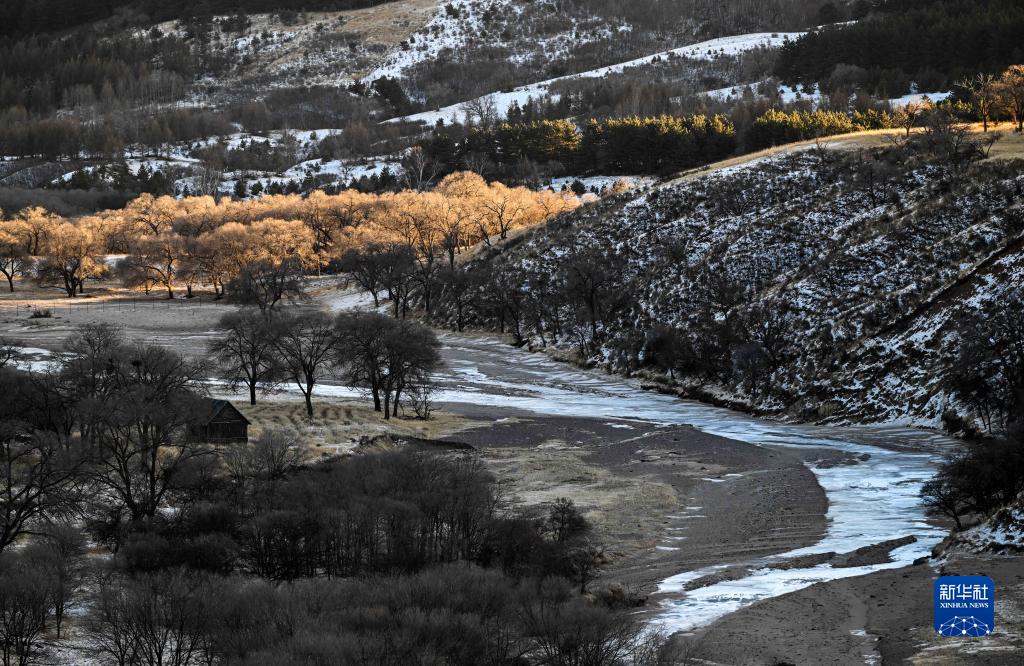 夕阳下的滦河源国家森林公园（1月29日摄）。目前，位于锡林郭勒盟多伦县三道沟林场境内的内蒙古滦河源国家森林公园被积雪覆盖，阳光下，植被多彩绚丽，呈现出独特的冬日景色。新华社记者 连振 摄
