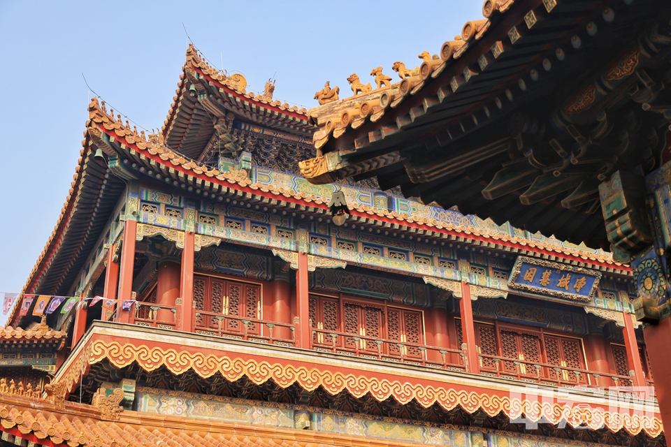 2月10日，虽然新春假期已结束，但在北京标志性的藏传佛教寺院雍和宫内，前来参拜祈福的游客仍络绎不绝。他们虔诚叩拜，许下自己新年的愿望。 陈硕 摄