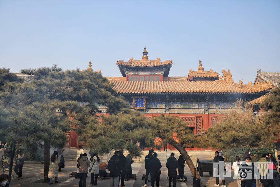 2月10日，虽然新春假期已结束，但在北京标志性的藏传佛教寺院雍和宫内，前来参拜祈福的游客仍络绎不绝。他们虔诚叩拜，许下自己新年的愿望。 陈硕 摄